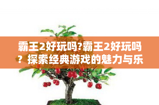 霸王2好玩吗?霸王2好玩吗？探索经典游戏的魅力与乐趣