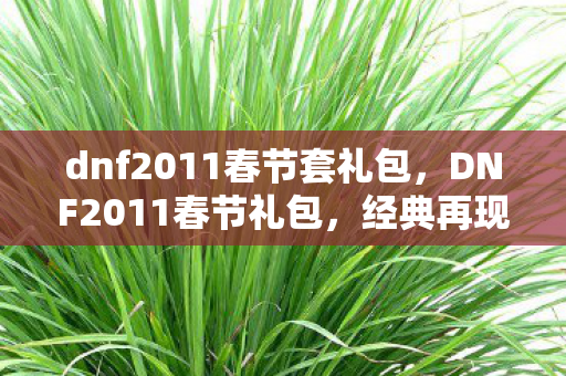 dnf2011春节套礼包,DNF2011春节礼包,经典再现,情怀与实力并存 dnf2011春节套礼包,DNF2011春节礼包,经典再现,情怀与实力并存