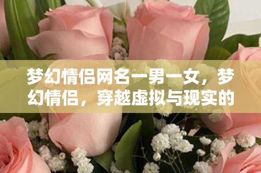 梦幻情侣网名一男一女，梦幻情侣，穿越虚拟与现实的浪漫之旅