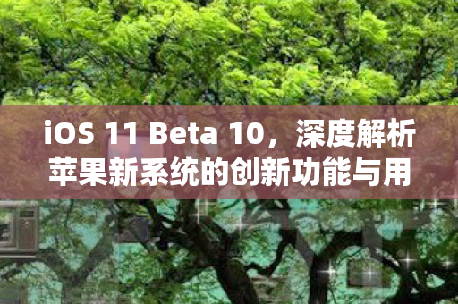 iOS 11 Beta 10,深度解析苹果新系统的创新功能与用户体验 iOS 11 Beta 10,深度解析苹果新系统的创新功能与用户体验