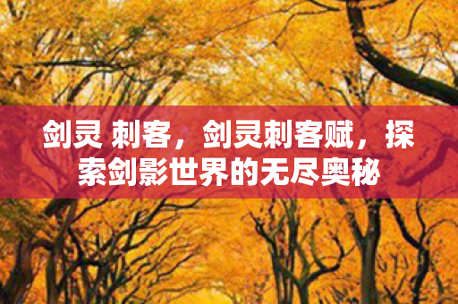 剑灵 刺客,剑灵刺客赋,探索剑影世界的无尽奥秘 剑灵 刺客,剑灵刺客赋,探索剑影世界的无尽奥秘
