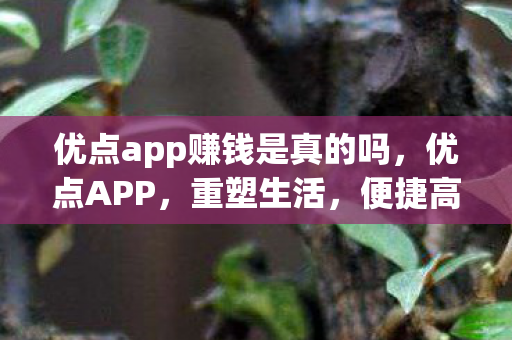 优点app赚钱是真的吗,优点APP,重塑生活,便捷高效 优点app赚钱是真的吗,优点APP,重塑生活,便捷高效