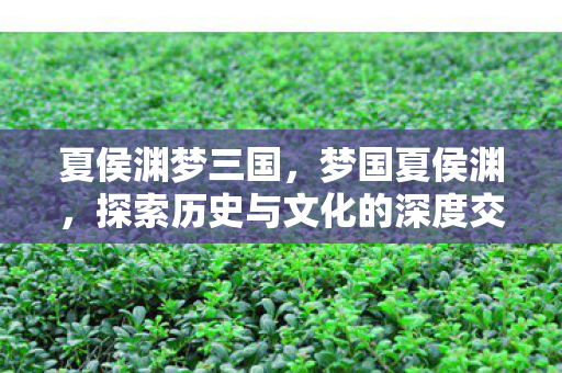 夏侯渊梦三国，梦国夏侯渊，探索历史与文化的深度交汇