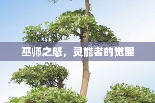 巫师之怒,灵能者的觉醒 巫师之怒,灵能者的觉醒