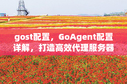 gost配置，GoAgent配置详解，打造高效代理服务器的秘诀