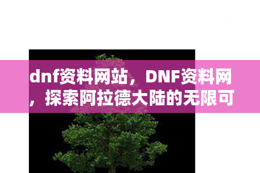 dnf资料网站,DNF资料网,探索阿拉德大陆的无限可能 dnf资料网站,DNF资料网,探索阿拉德大陆的无限可能