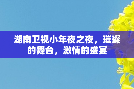 湖南卫视小年夜之夜,璀璨的舞台,激情的盛宴 湖南卫视小年夜之夜,璀璨的舞台,激情的盛宴