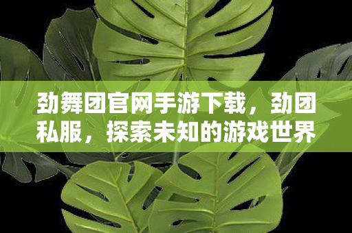 劲舞团官网手游下载,劲团私服,探索未知的游戏世界与社交体验 劲舞团官网手游下载,劲团私服,探索未知的游戏世界与社交体验