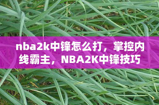 nba2k中锋怎么打,掌控内线霸主,NBA2K中锋技巧深度解析 nba2k中锋怎么打,掌控内线霸主,NBA2K中锋技巧深度解析