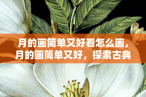 月的画简单又好看怎么画,月的画简单又好,探索古典与现代的融合之美 月的画简单又好看怎么画,月的画简单又好,探索古典与现代的融合之美