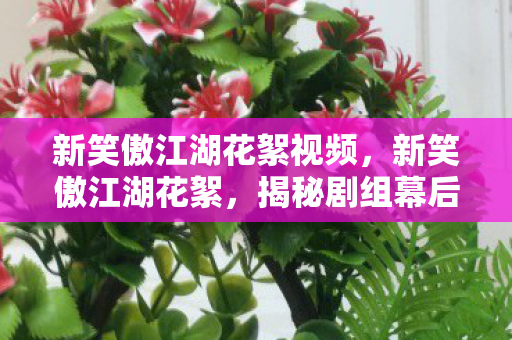 新笑傲江湖花絮视频,新笑傲江湖花絮,揭秘剧组幕后趣事 新笑傲江湖花絮视频,新笑傲江湖花絮,揭秘剧组幕后趣事