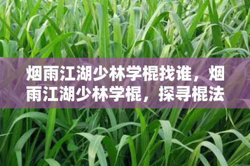 烟雨江湖少林学棍找谁,烟雨江湖少林学棍,探寻棍法奥秘,领略少林武学精髓 烟雨江湖少林学棍找谁,烟雨江湖少林学棍,探寻棍法奥秘,领略少林武学精髓