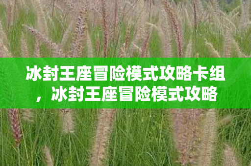 冰封王座冒险模式攻略卡组,冰封王座冒险模式攻略 冰封王座冒险模式攻略卡组,冰封王座冒险模式攻略