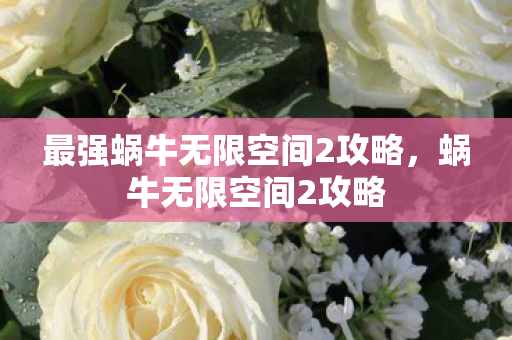 最强蜗牛无限空间2攻略,蜗牛无限空间2攻略 最强蜗牛无限空间2攻略,蜗牛无限空间2攻略