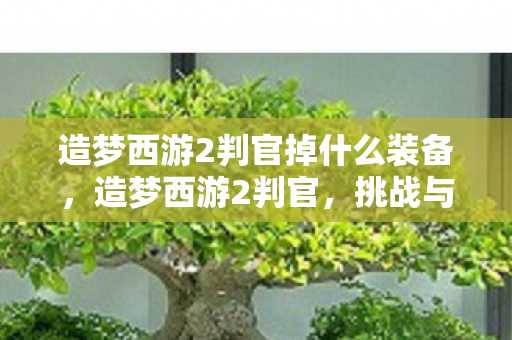 造梦西游2判官掉什么装备,造梦西游2判官,挑战与探索的奇幻之旅 造梦西游2判官掉什么装备,造梦西游2判官,挑战与探索的奇幻之旅
