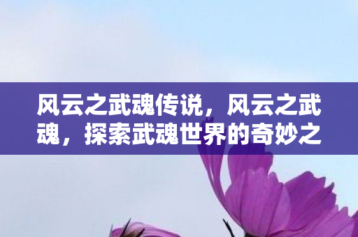 风云之武魂传说,风云之武魂,探索武魂世界的奇妙之旅 风云之武魂传说,风云之武魂,探索武魂世界的奇妙之旅