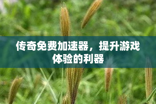 传奇免费加速器,提升游戏体验的利器 传奇免费加速器,提升游戏体验的利器