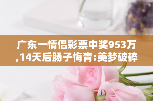 广东一情侣彩票中奖953万,14天后肠子悔青:美梦破碎,广东一情,疫情下的生活变迁与数字治理创新 广东一情侣彩票中奖953万,14天后肠子悔青:美梦破碎,广东一情,疫情下的生活变迁与数字治理创新