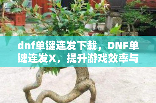 dnf单键连发下载,DNF单键连发X,提升游戏效率与体验的创新工具 dnf单键连发下载,DNF单键连发X,提升游戏效率与体验的创新工具