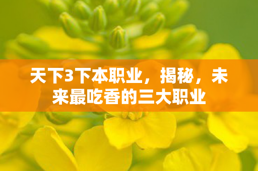 天下3下本职业,揭秘,未来最吃香的三大职业 天下3下本职业,揭秘,未来最吃香的三大职业