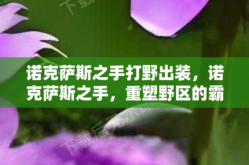 诺克萨斯之手打野出装，诺克萨斯之手，重塑野区的霸主之路