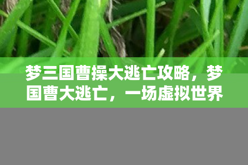 梦三国曹操大逃亡攻略，梦国曹大逃亡，一场虚拟世界的自由之旅