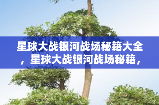 星球大战银河战场秘籍大全，星球大战银河战场秘籍，策略与技巧的深度剖析