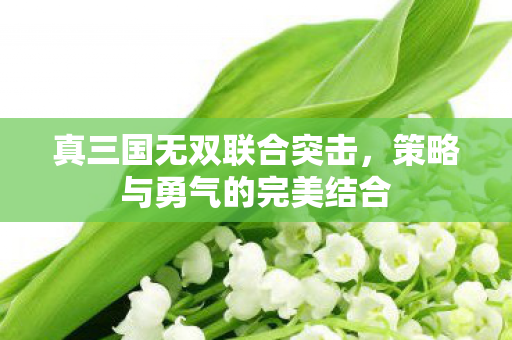 真三国无双联合突击,策略与勇气的完美结合 真三国无双联合突击,策略与勇气的完美结合
