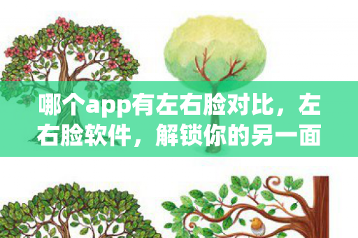 哪个app有左右脸对比,左右脸软件,解锁你的另一面 哪个app有左右脸对比,左右脸软件,解锁你的另一面