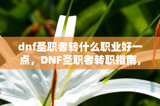 dnf圣职者转什么职业好一点,DNF圣职者转职指南,哪个职业最适合你? dnf圣职者转什么职业好一点,DNF圣职者转职指南,哪个职业最适合你?