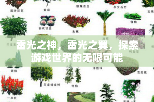 雷光之神,雷光之翼,探索游戏世界的无限可能 雷光之神,雷光之翼,探索游戏世界的无限可能