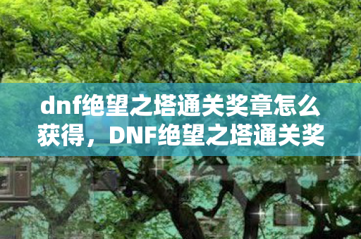 dnf绝望之塔通关奖章怎么获得,DNF绝望之塔通关奖章,荣耀的象征与实力的证明 dnf绝望之塔通关奖章怎么获得,DNF绝望之塔通关奖章,荣耀的象征与实力的证明
