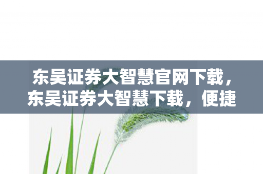 东吴证券大智慧官网下载,东吴证券大智慧下载,便捷、安全、高效的证券分析工具 东吴证券大智慧官网下载,东吴证券大智慧下载,便捷、安全、高效的证券分析工具