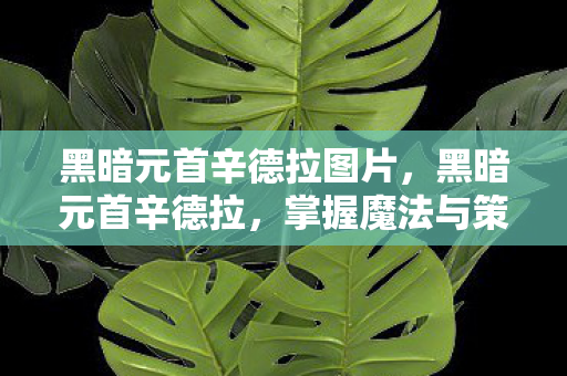 黑暗元首辛德拉图片,黑暗元首辛德拉,掌握魔法与策略的终极法师 黑暗元首辛德拉图片,黑暗元首辛德拉,掌握魔法与策略的终极法师