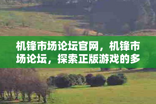 机锋市场论坛官网,机锋市场论坛,探索正版游戏的多元生态 机锋市场论坛官网,机锋市场论坛,探索正版游戏的多元生态