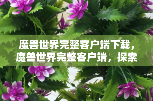 魔兽世界完整客户端下载，魔兽世界完整客户端，探索经典，重温传奇