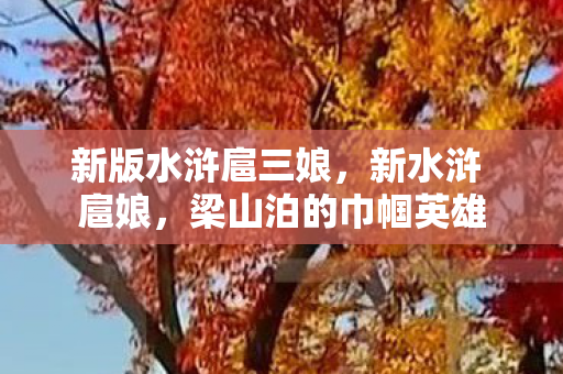 新版水浒扈三娘,新水浒 扈娘,梁山泊的巾帼英雄 新版水浒扈三娘,新水浒 扈娘,梁山泊的巾帼英雄