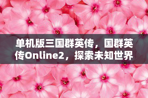 单机版三国群英传,国群英传Online2,探索未知世界的奇幻之旅 单机版三国群英传,国群英传Online2,探索未知世界的奇幻之旅
