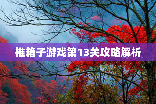 推箱子游戏第13关攻略解析 推箱子游戏第13关攻略解析