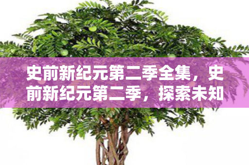 史前新纪元第二季全集，史前新纪元第二季，探索未知世界的奇妙旅程