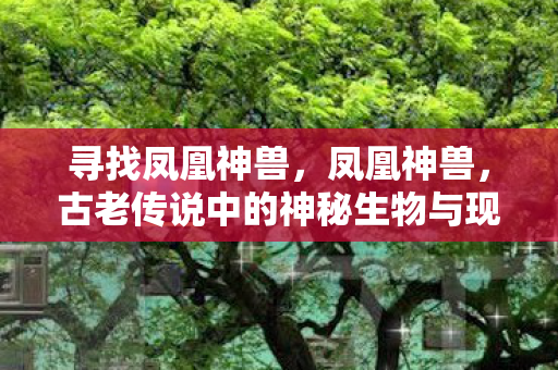 寻找凤凰神兽,凤凰神兽,古老传说中的神秘生物与现代文化的交融 寻找凤凰神兽,凤凰神兽,古老传说中的神秘生物与现代文化的交融