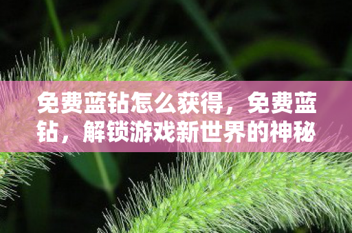免费蓝钻怎么获得,免费蓝钻,解锁游戏新世界的神秘钥匙 免费蓝钻怎么获得,免费蓝钻,解锁游戏新世界的神秘钥匙