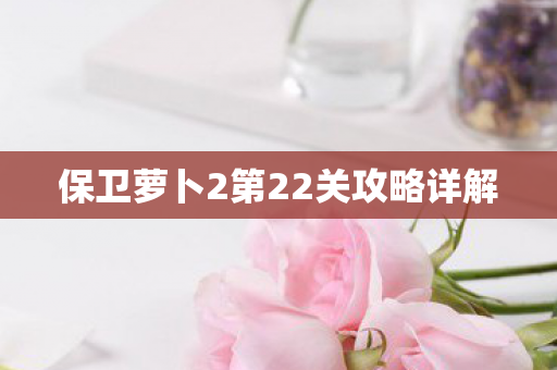 保卫萝卜2第22关攻略详解 保卫萝卜2第22关攻略详解