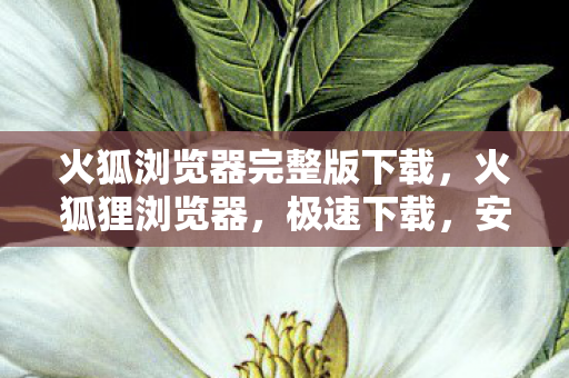 火狐浏览器完整版下载,火狐狸浏览器,极速下载,安全浏览新体验 火狐浏览器完整版下载,火狐狸浏览器,极速下载,安全浏览新体验