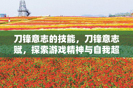 刀锋意志的技能,刀锋意志赋,探索游戏精神与自我超越 刀锋意志的技能,刀锋意志赋,探索游戏精神与自我超越