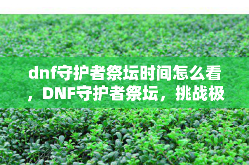dnf守护者祭坛时间怎么看,DNF守护者祭坛,挑战极限,掌握时间之匙 dnf守护者祭坛时间怎么看,DNF守护者祭坛,挑战极限,掌握时间之匙