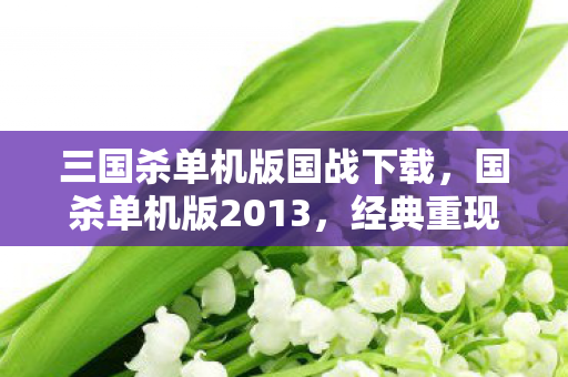 三国杀单机版国战下载,国杀单机版2013,经典重现,策略与智慧的碰撞 三国杀单机版国战下载,国杀单机版2013,经典重现,策略与智慧的碰撞