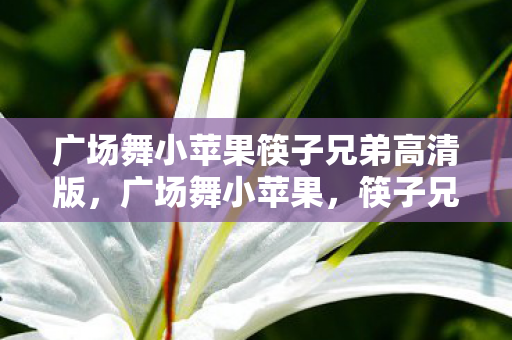广场舞小苹果筷子兄弟高清版,广场舞小苹果,筷子兄弟引领的潮流与回忆 广场舞小苹果筷子兄弟高清版,广场舞小苹果,筷子兄弟引领的潮流与回忆