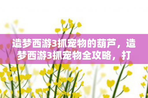 造梦西游3抓宠物的葫芦,造梦西游3抓宠物全攻略,打造你的专属萌宠大军 造梦西游3抓宠物的葫芦,造梦西游3抓宠物全攻略,打造你的专属萌宠大军