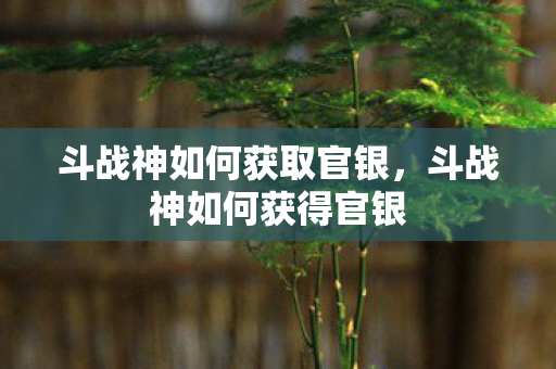 斗战神如何获取官银，斗战神如何获得官银